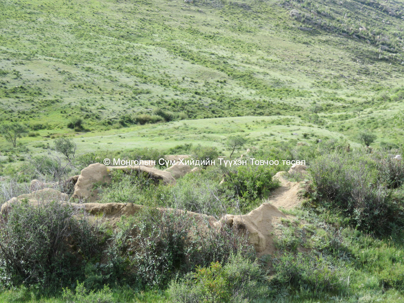 Mud brick temple detail